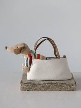 Dani the Dachshund In Carrier