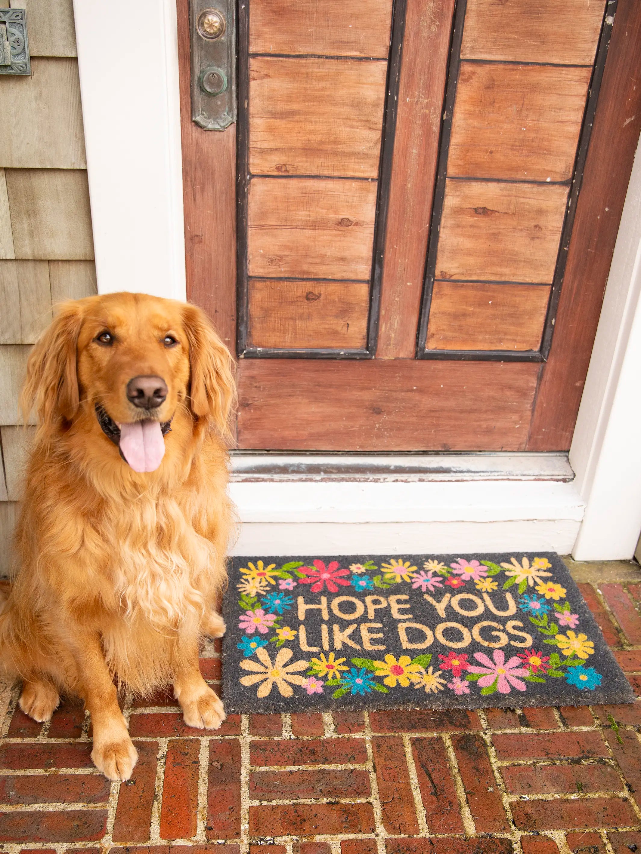 Bungalow Doormat - Like Dogs Black