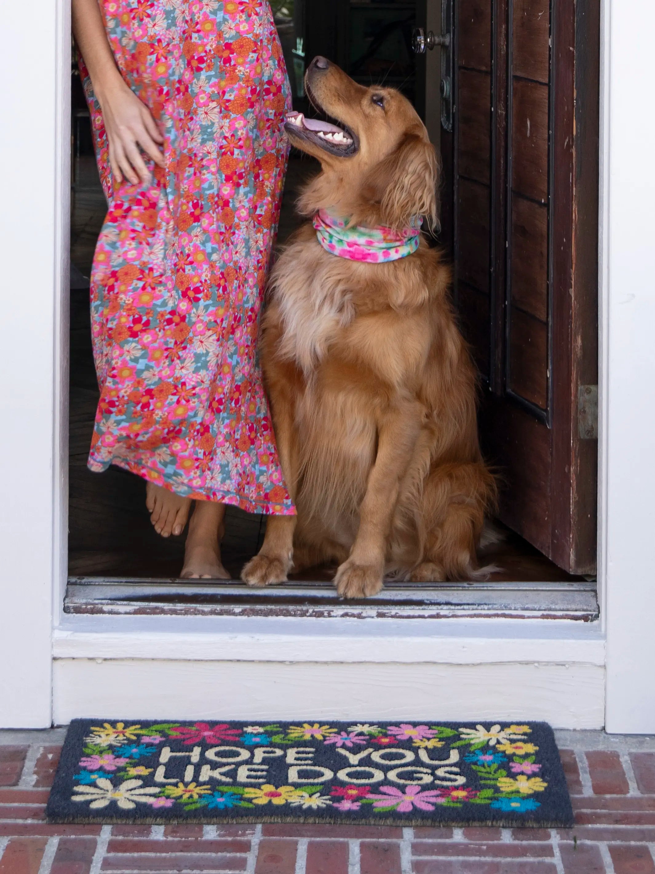 Bungalow Doormat - Like Dogs Black