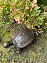Turtle Key Box