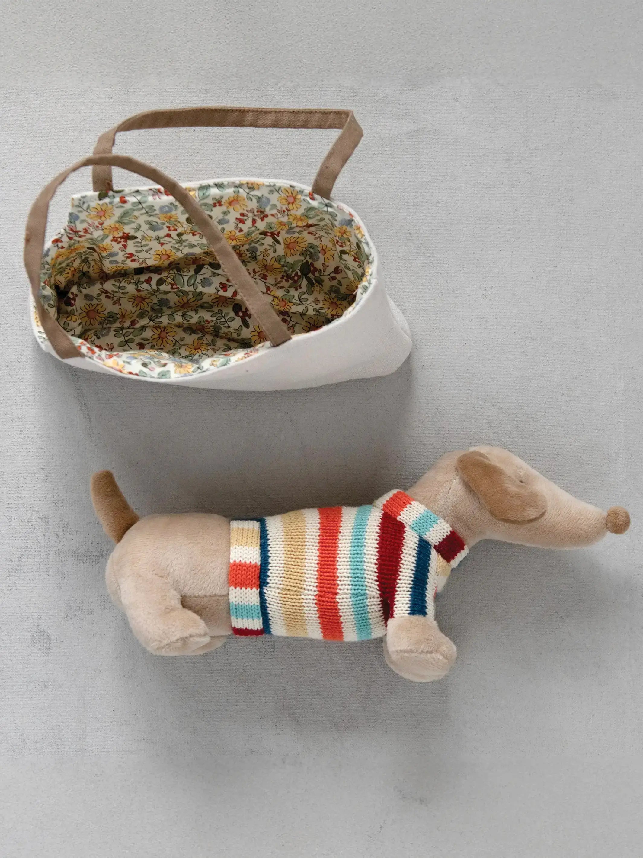 Dani the Dachshund In Carrier